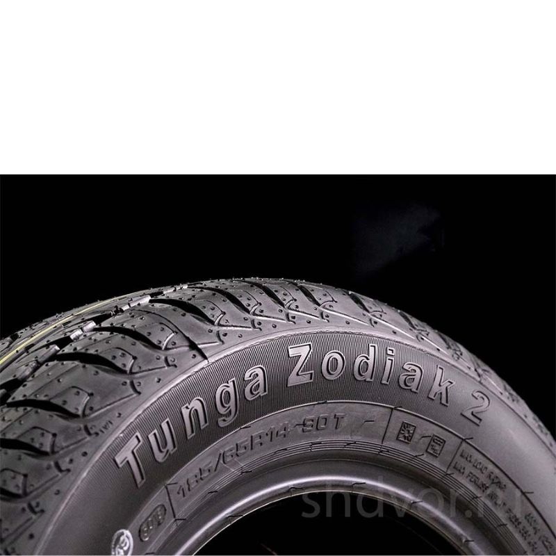 TUNGA-195-65-Rin15-95T-ZODIAK-3.jpg
